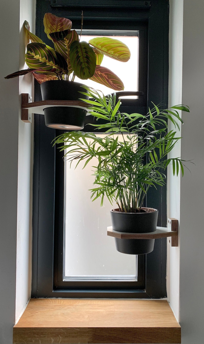 Medium Wall mounted indoor planter, Medium sized Birch plywood plant holder image 2