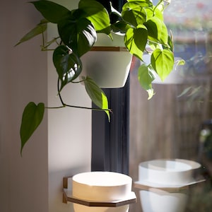 May include: Two white ceramic planters with wooden wall mounts. The top planter is hanging from a window and holds a green leafy plant. The bottom planter is mounted on the wall.