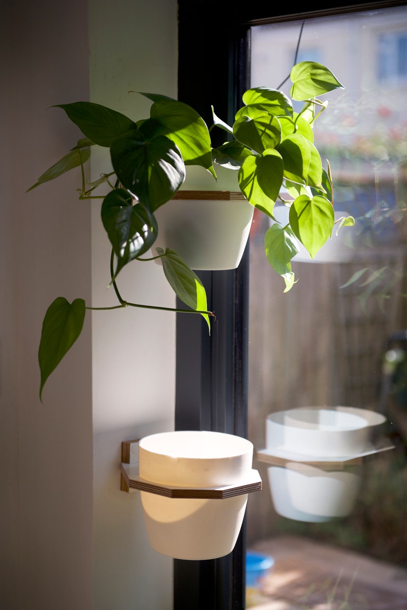 May include: Two white ceramic planters with wooden wall mounts. The top planter is hanging from a window and holds a green leafy plant. The bottom planter is mounted on the wall.