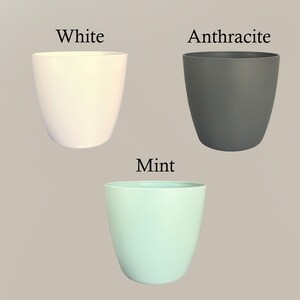May include: Three plastic plant pots in different colors: white, gray, and light blue. The pots are labeled "White", "Anthracite", and "Mint".
