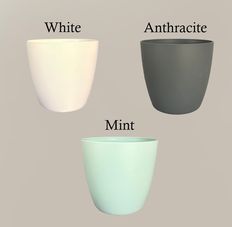 May include: Three plastic plant pots in different colors: white, gray, and light blue. The pots are labeled "White", "Anthracite", and "Mint".
