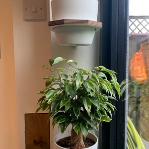 Medium Wall mounted indoor planter, Medium sized Birch plywood plant holder image 9