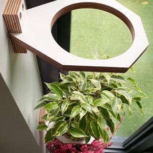 Medium Wall mounted indoor planter, Medium sized Birch plywood plant holder image 4