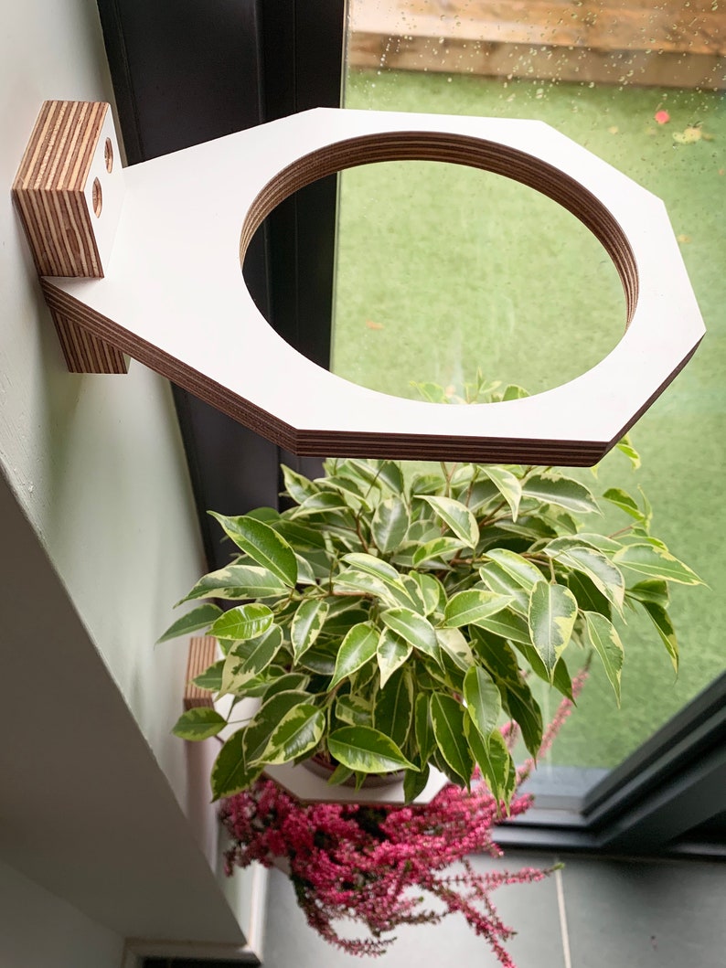 Medium Wall mounted indoor planter, Medium sized Birch plywood plant holder image 4