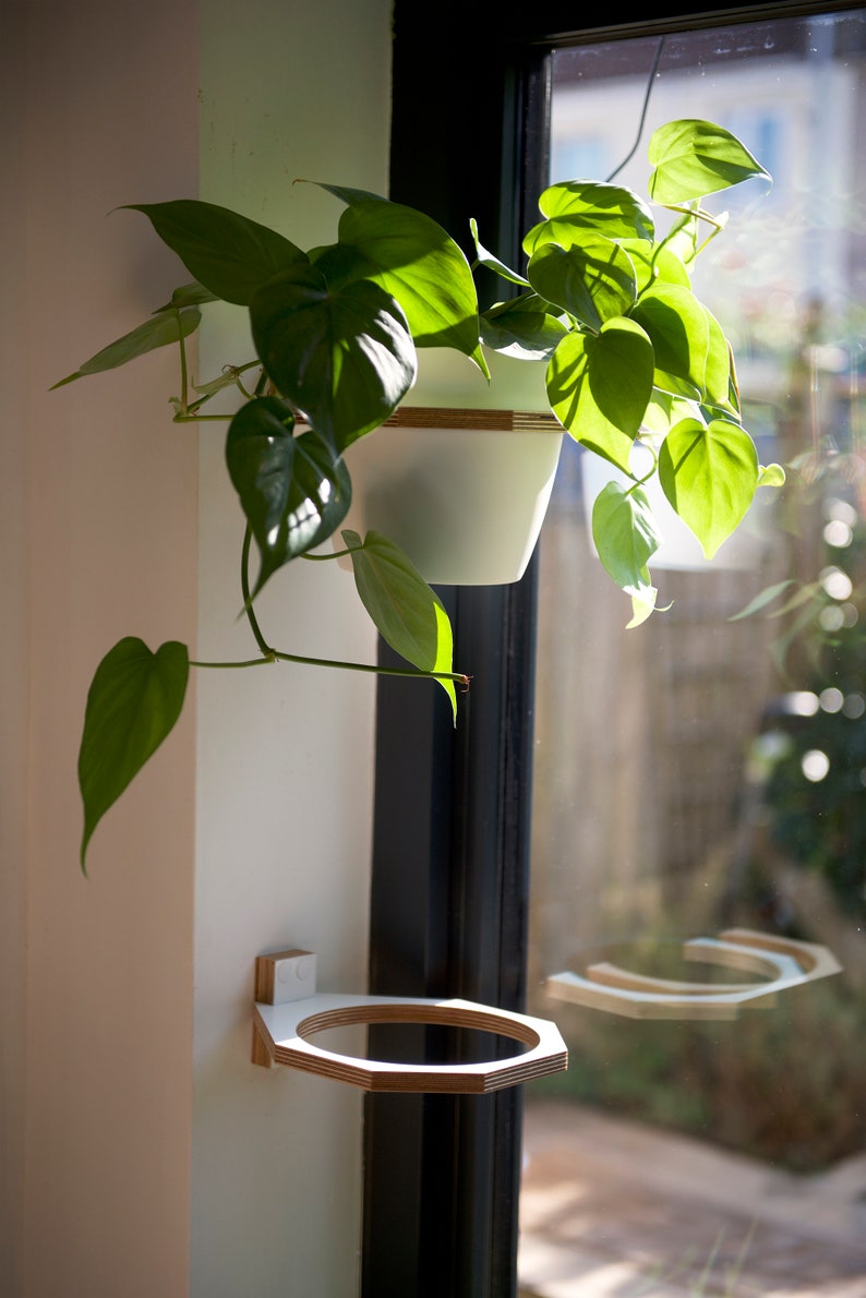 May include: A white plant hanger with a green leafy plant hanging from it. The hanger is mounted on a white wall next to a window.