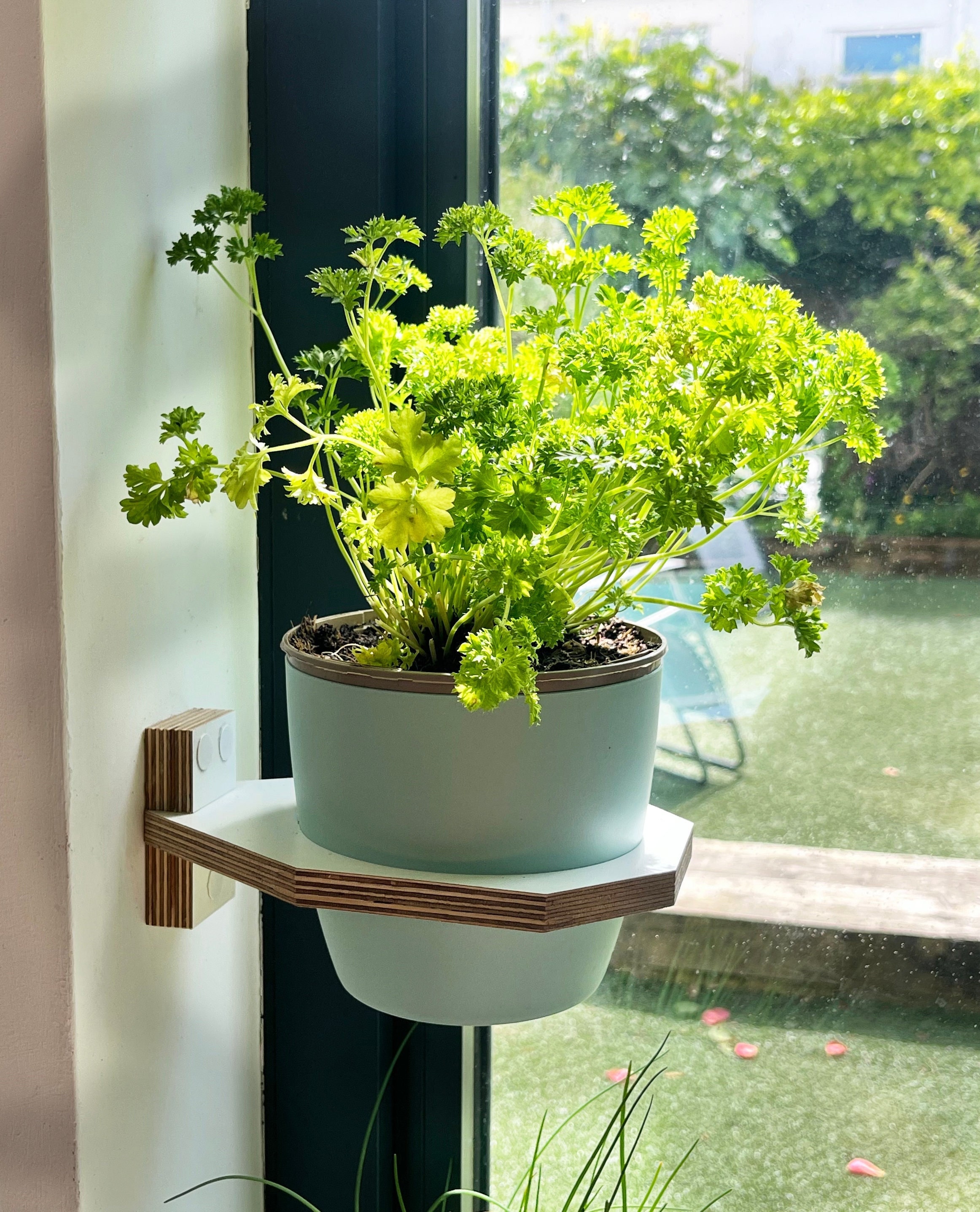 Jardinera de interior de pared, soporte para plantas de madera  contrachapada de abedul de tamaño mediano, image size:2324x2874