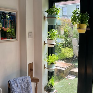 May include: A vertical indoor herb garden with four potted plants. The plants are mounted on a wall-mounted rack next to a window. The plants are in white and light blue pots. The window looks out onto a green lawn.
