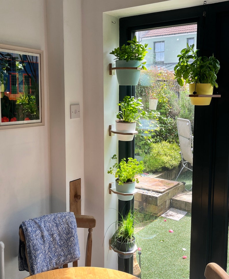 May include: A vertical indoor herb garden with four potted plants. The plants are mounted on a wall-mounted rack next to a window. The plants are in white and light blue pots. The window looks out onto a green lawn.