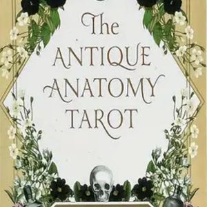 Antyczna Anatomia Tarot Tarot Klasyczna talia 78 kart 6,2 x 10,4 cm