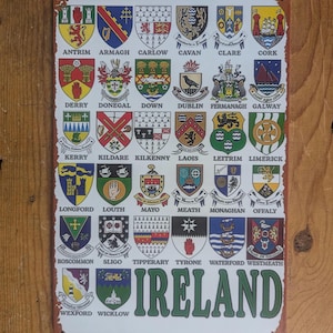 Rechthoekig metalen bord Ierland Ierland: 30 x 20 cm/ 16 x 8 inch