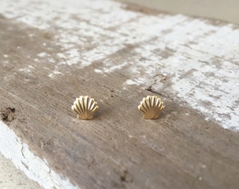 Tiny Shell Stud Earrings