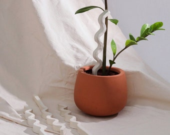 Noodle Plant Sticks _ minimal eco friendly ceramic plant trellis support . plant accessory home decor. natural modern japandi