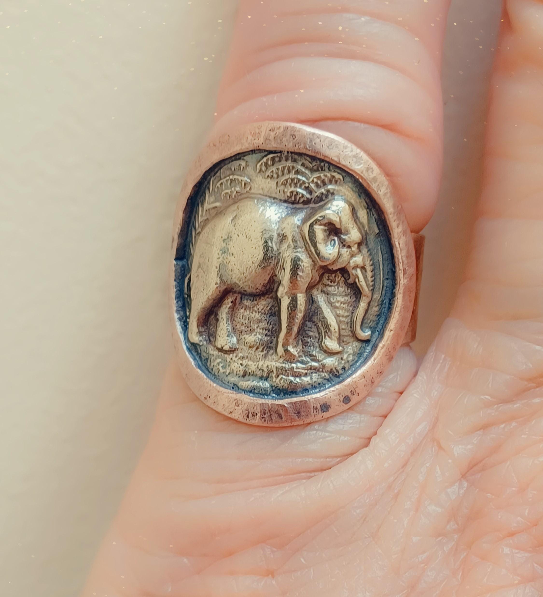 Elephant hair rings España