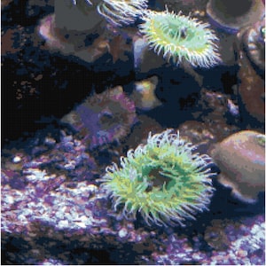 Kevin&#39;s Sea Anemones Cross Stitch Printable Pattern - Instant Download PDF - Marine Home Decor