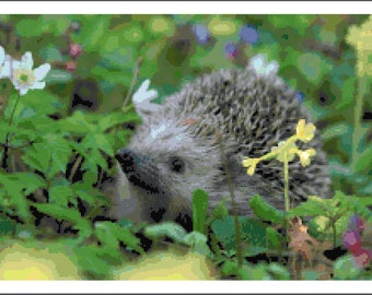 Hedgehog Cross Stitch Printable Needlework Pattern - DIY Crossstitch Chart, Relaxing Hobby, Instant Download PDF Design