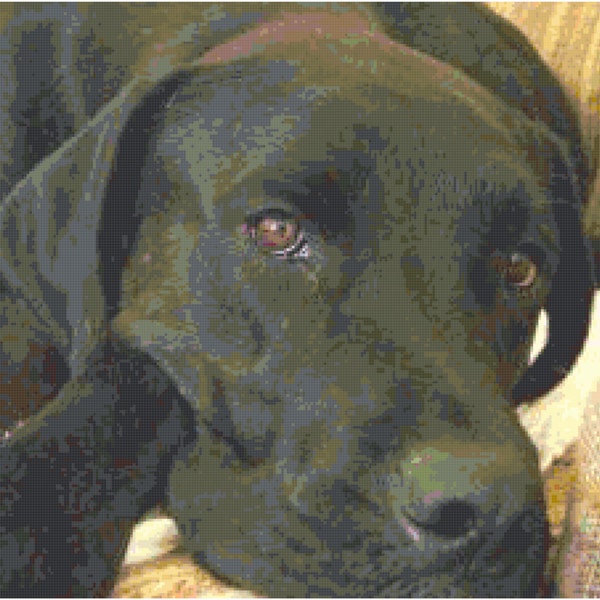 Chocolate Lab Dog Cross Stitch Pattern, Instant Download PDF