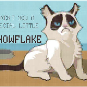 Puede incluir: Un gato de aspecto gruñón con ojos azules y un pelaje blanco y gris se sienta sobre una superficie marrón. El gato mira al espectador con una expresión de desaprobación. El texto "AREN'T YOU A SPECIAL LITTLE SNOWFLAKE" está escrito sobre el gato.