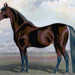 Beautiful Horse Cross Stitch Printable Needlework Pattern - DIY Crossstitch Chart, Relaxing Hobby, Instant Download PDF