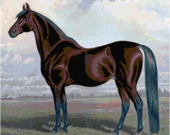 Beautiful Horse Cross Stitch Printable Needlework Pattern - DIY Crossstitch Chart, Relaxing Hobby, Instant Download PDF