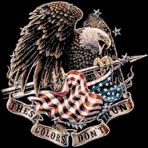 American Eagle Cross Stitch Pattern – Patriotic Full Coverage (PDF Pattern)