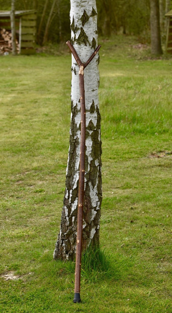 walking sticks for hiking