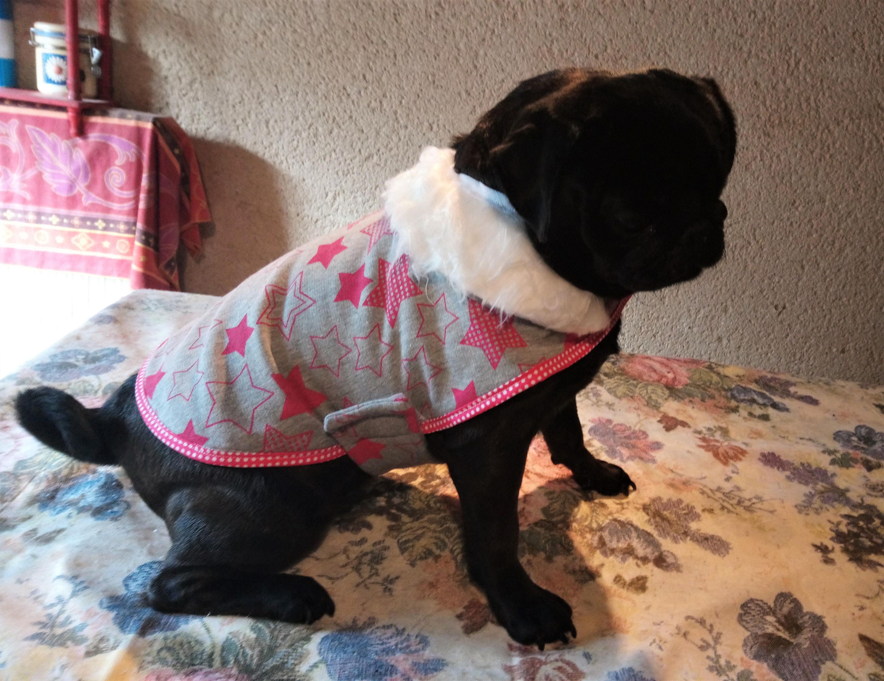 dog sweater with velcro closure