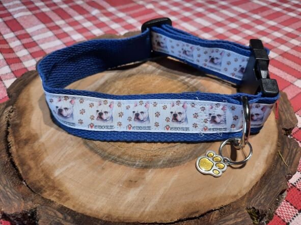 Collier Pour Petit Chien Genre Bouledogue