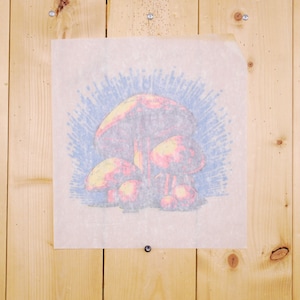 May include: A piece of paper with a mushroom illustration, tacked to a wooden surface. The mushrooms are red, yellow, and orange, with a blue background. The paper is slightly translucent, and the wood has a natural grain.