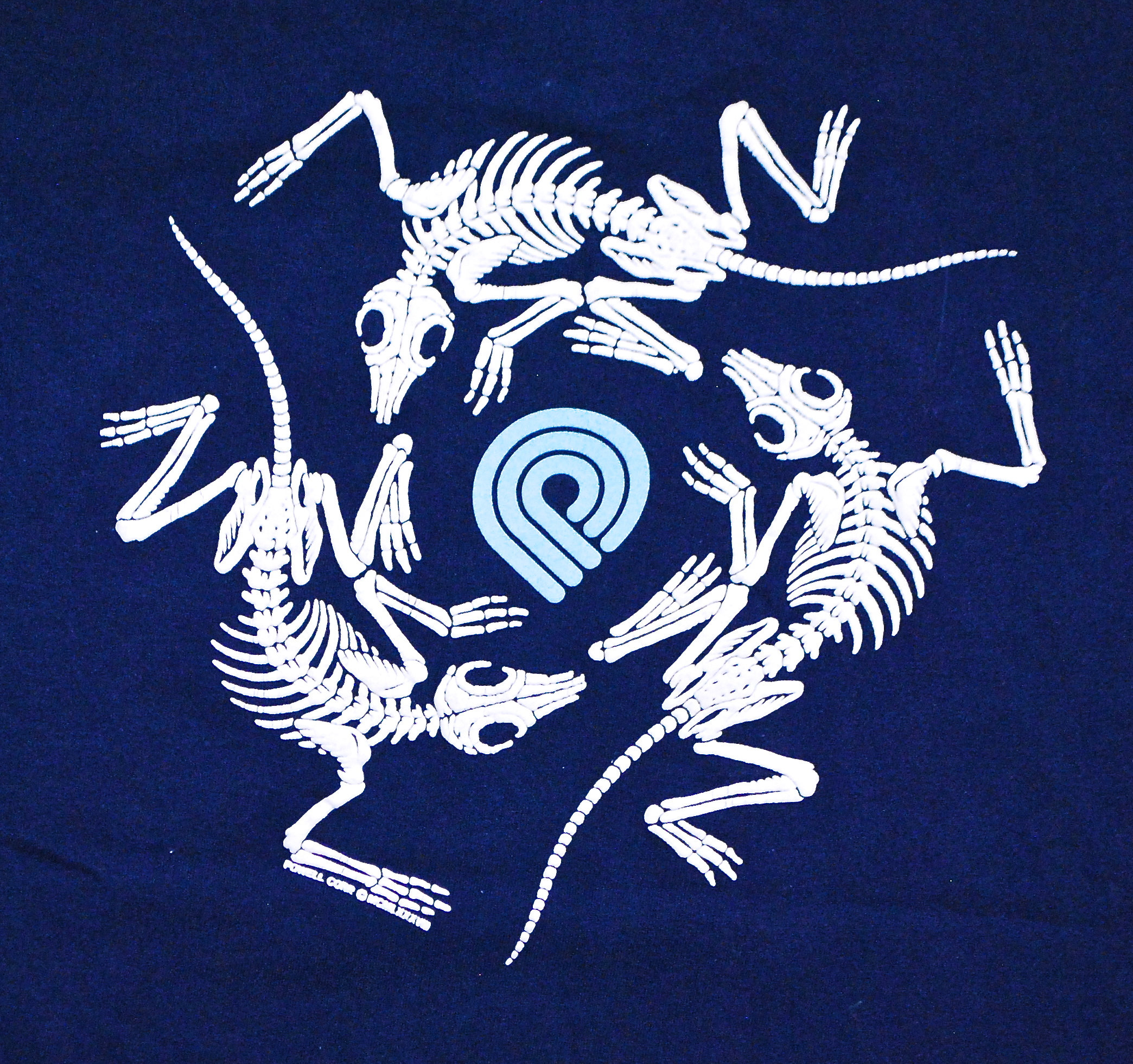 Vintage 1988 POWELL PERALTA Skateboard T-shirt / Lizard