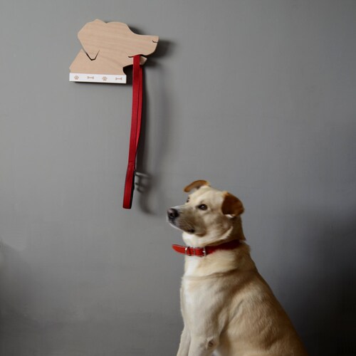 unique pet accessories