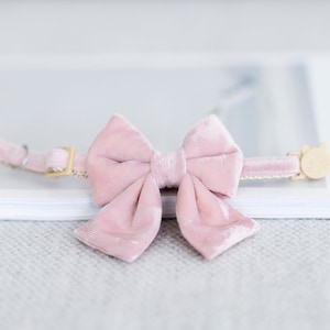 Peut inclure: Un collier pour chat en velours rose clair avec un nœud assorti. Le collier est orné d'éléments dorés et d'un petit charm en forme de chat. Le nœud, en velours doux, est positionné au centre. Le collier est posé sur une surface blanche.