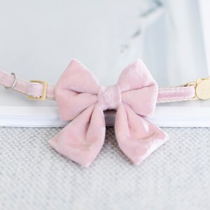 May include: A light pink velvet cat collar with a large bow. The collar has gold-colored hardware, including a buckle and a charm with a cat face. The collar is resting on a white surface.