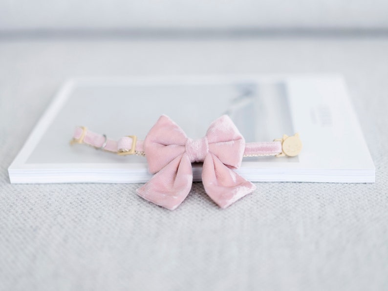 May include: A pink velvet cat collar with a matching bow. The collar has gold-colored hardware and a small cat-shaped charm. The bow is centered on the collar and is made of a soft, plush material. The collar is resting on a white surface.