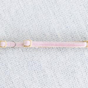 May include: A light pink cat collar with a gold-colored buckle and a small bell. The collar is made of a soft, velvet-like material and has a cat-shaped charm. The collar is designed for cats.