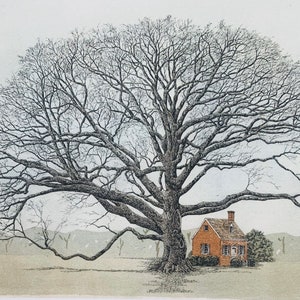 The Wye Oak , pen and ink watercolor by Maryland artist Martin Barry.