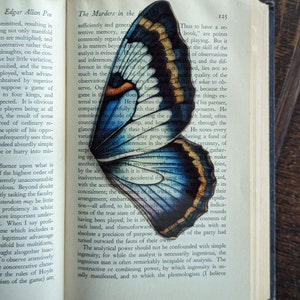 Clear Bookmark Vintage Butterfly Moth Wing Insect Bug Blue Yellow Purple Nature Dark Academia Fairycore Cottagecore Witchcore Handmade Art image 4