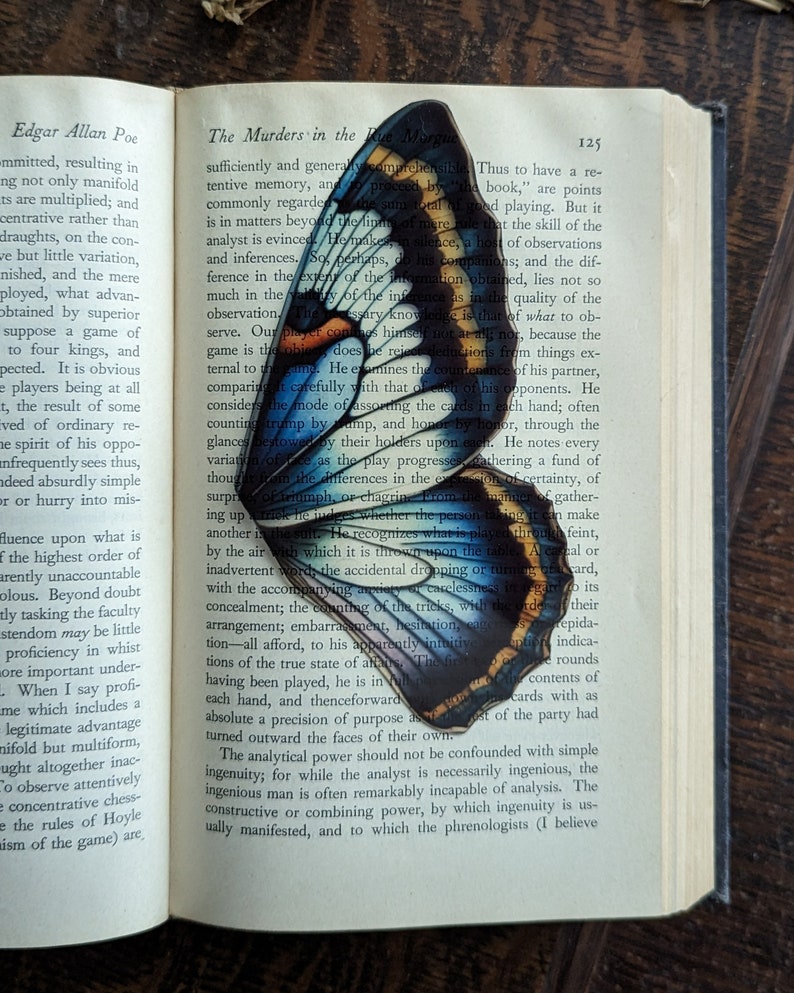 Clear Bookmark Vintage Butterfly Moth Wing Insect Bug Blue Yellow Purple Nature Dark Academia Fairycore Cottagecore Witchcore Handmade Art image 4