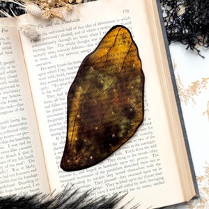Clear Bookmark Fairy Faerie Pixie Wing Black Outline Gold Stars Pretty Goth Dark Academia Fairycore Fantasy Sci-Fi Book Reader Lover Gift
