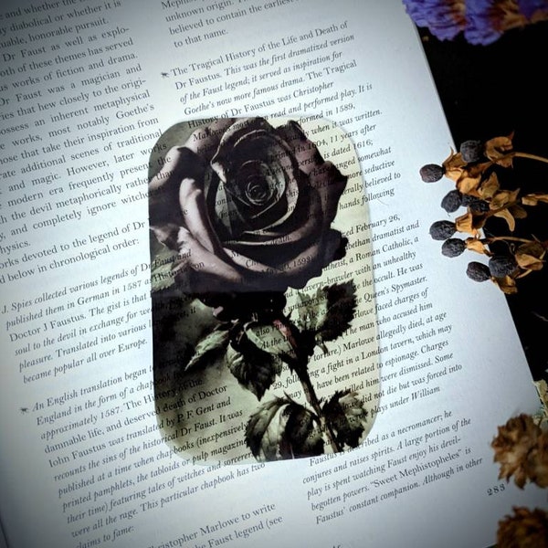 Clear Bookmark Vintage Watercolor Black/Purple Rose Flower Floral Victorian Goth Gothic Dark Academia Fairycore Cottagecore Witchcore