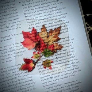 May include: A close-up of a book page with text about the legend of Dr. Faustus. A pressed autumn leaf with red, orange, and yellow colors is on the page. The text mentions the play "The Tragical History of Dr. Faustus" by Christopher Marlowe.