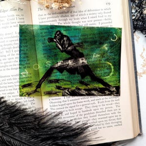 May include: A black and white illustration of a creature with a long tail and sharp teeth, running across a green and blue background. The illustration is from a book titled "The Pendulum".