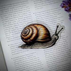 May include: A detailed illustration of a snail with a brown shell and a black and white body. The snail is crawling on a page of a book with text about the legend of Dr. Faust. The text discusses the themes of knowledge, magic, and the devil.