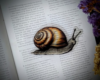 Clear Bookmark Snail Slug Shell Gastropod Mollusk Dark Academia Cottagecore Nature Gift Handmade
