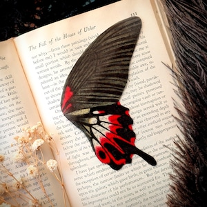 May include: A vibrant butterfly wing, black with red accents, rests on an open book. The page displays text from "The Fall of the House of Usher" by Poe, with dried flowers and feathers adding to the aesthetic.