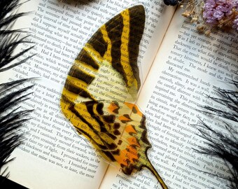 Clear Bookmark Vintage Illustration E.A. Seguy Moth Wing Insect Bug Nature Dark Academia Handmade Art Book Reader Lover Gift Handmade Artist