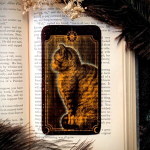 May include: A tarot card featuring a detailed illustration of a tabby cat in shades of brown and gold. The card has a dark border with celestial accents and is set against the backdrop of an open book.