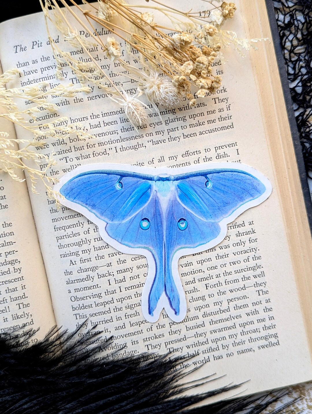 Vinyl Waterproof Sticker Blue Luna Moth Butterfly Nature Beautiful ...