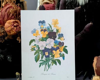 5x7 Art Print Vintage Illustration Pierre Joseph Redoute Bouqet De Pensees Pansies Botanical Wall Decor Gift