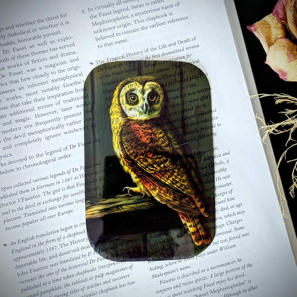 Clear Bookmark Vintage Owl Nature Dark Academia Fairycore Cottagecore Witchcore Handmade Artist