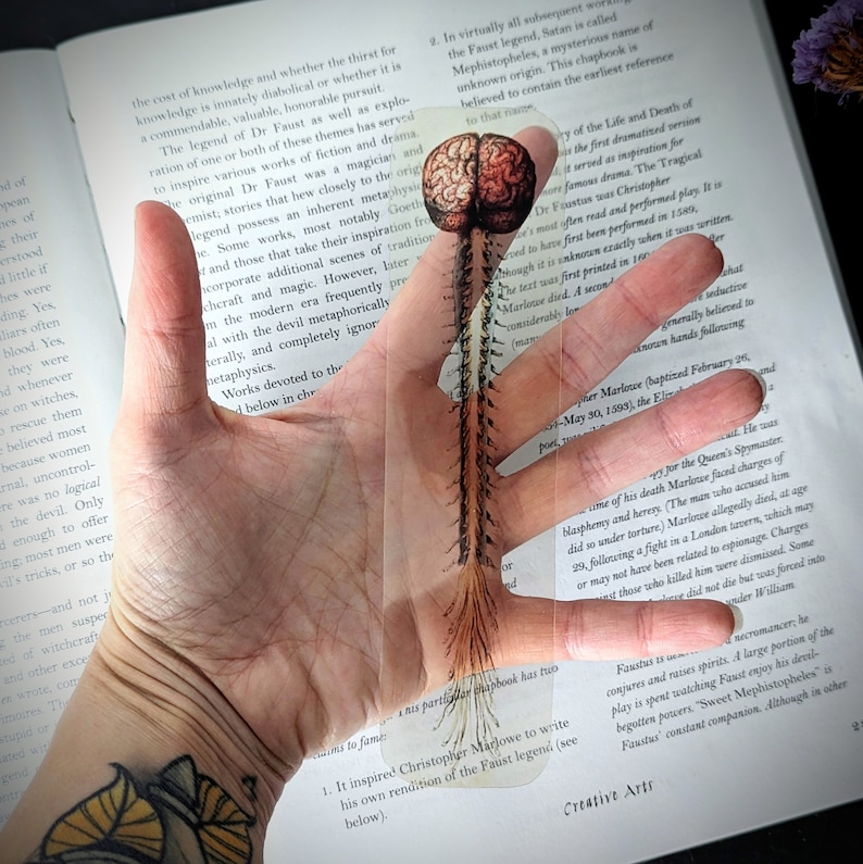 Human Rendition Clear Bookmark Vintage Human Brain and Spinal Cord Nerves Goth Gothic ...